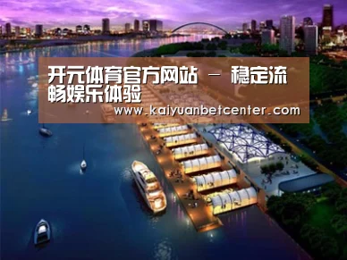 案例展示八