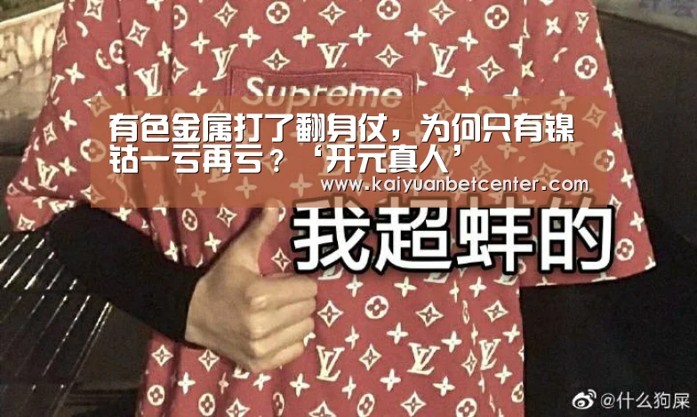 有色金属打了翻身仗,为何只有镍钴一亏再亏?‘开元真人’(图3) 开元登录