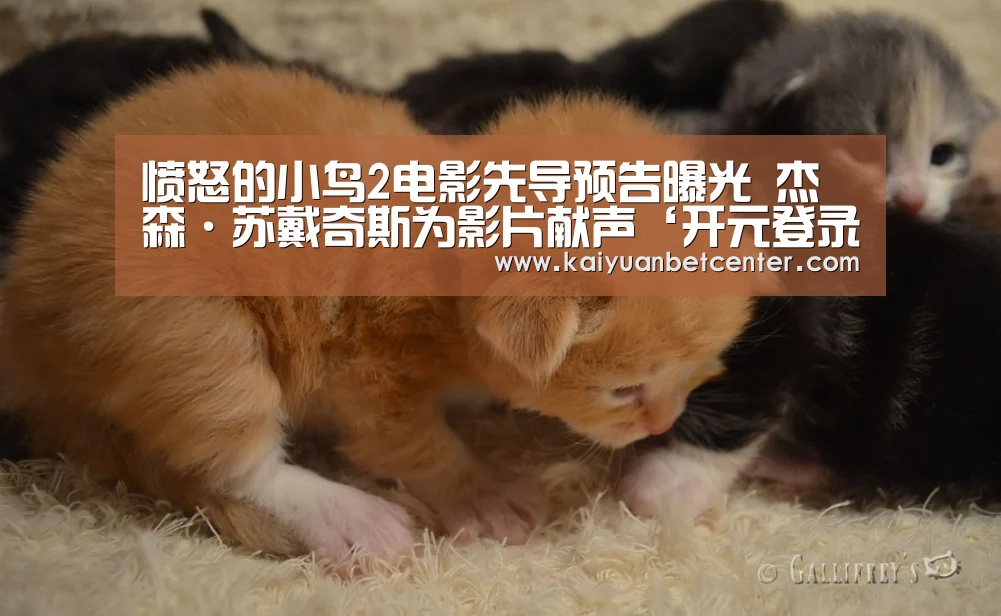 愤怒的小鸟2电影先导预告曝光 杰森·苏戴奇斯为影片献声‘开元登录’(图2) 开元登录